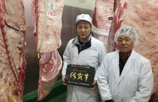 JAからつ肉牛枝肉共励会